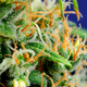 Illustration for article titled How to Brew Cannabis Tinctures (Eyedroppers Full of Happiness)